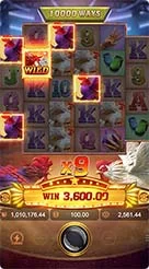 a77 · Rooster Rbl